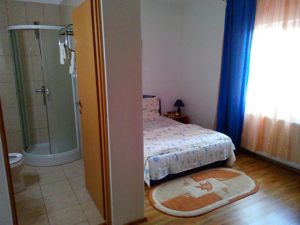 Pensiunea Vladut ティミショアラ 部屋 写真